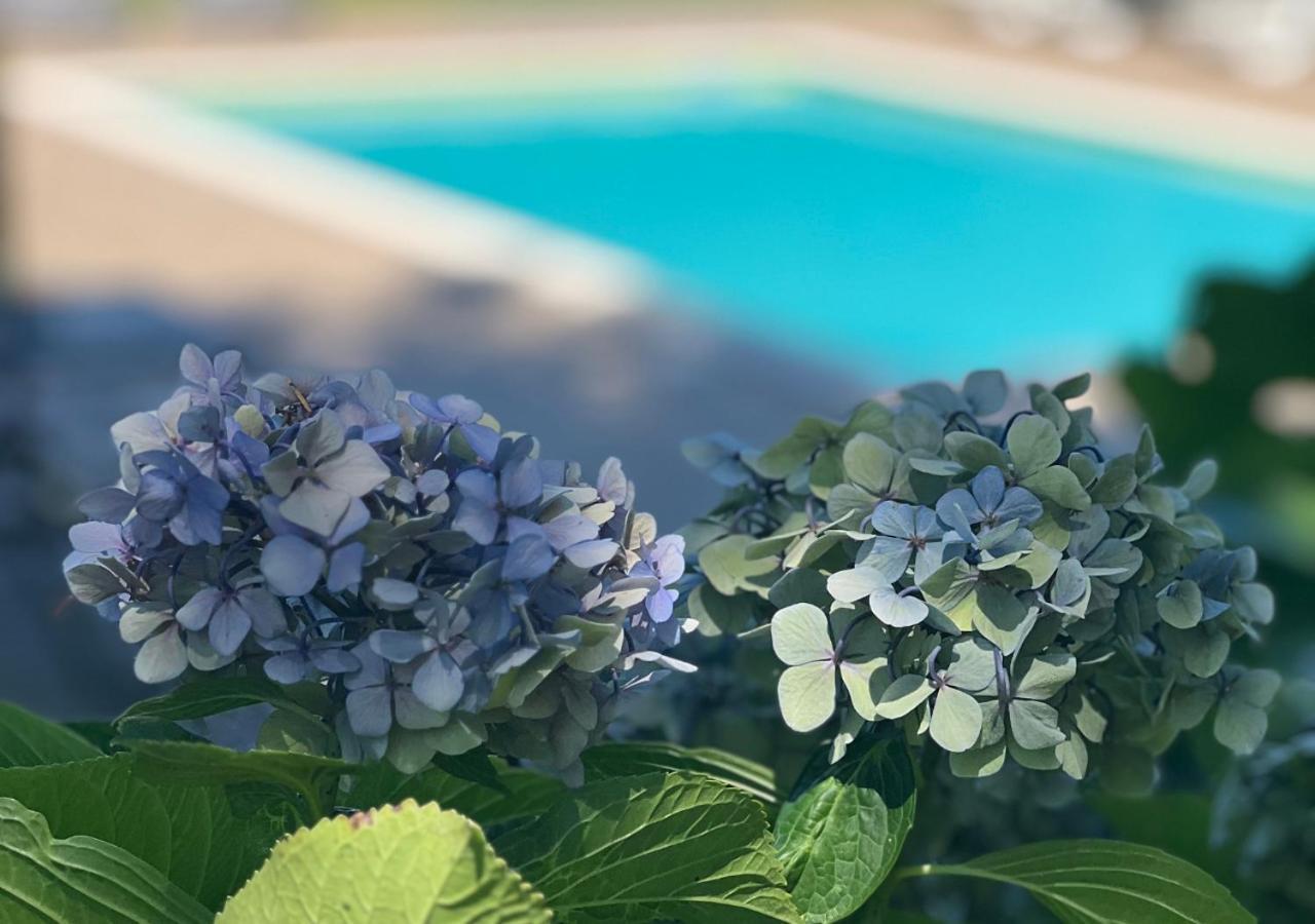 Casa Moinho Da Mouta Daire Parada de Pinhão Dış mekan fotoğraf